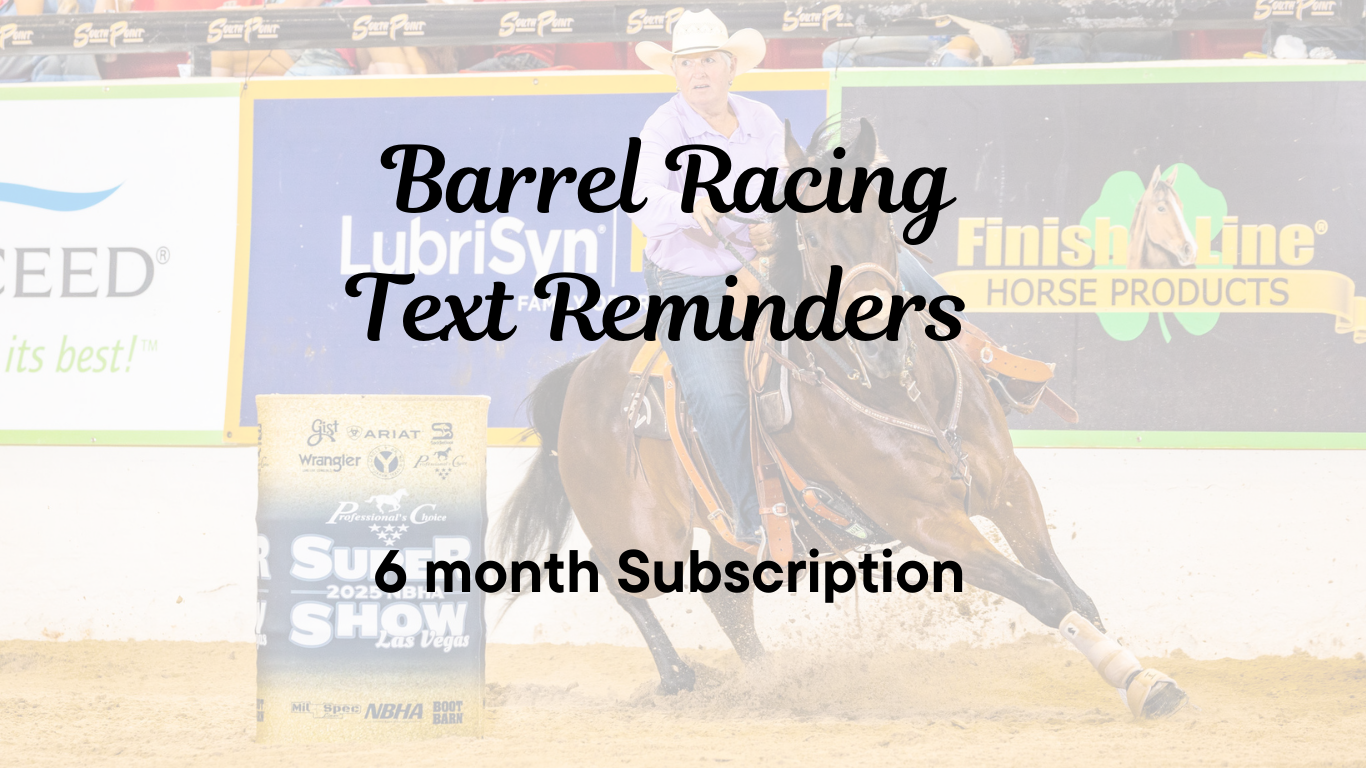 6 month Subscription